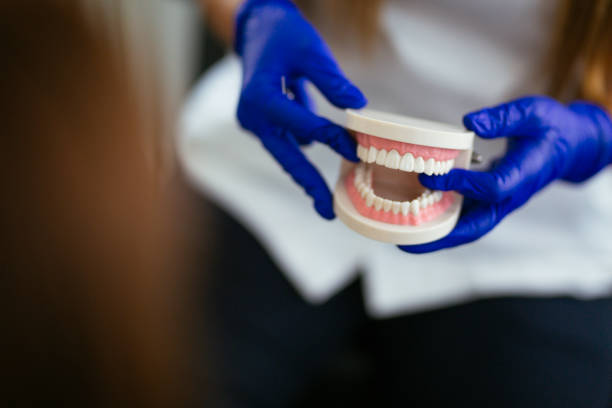 Professional  Holistic Dental Services in Salem, IN